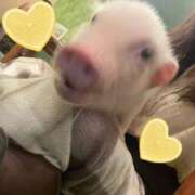 ヒメ日記 2025/10/08 18:00 投稿 みつき 東京リップ 立川店