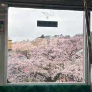 ヒメ日記 2026/03/30 09:30 投稿 みつき 東京リップ 立川店