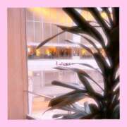 ヒメ日記 2024/12/31 09:35 投稿 まれい 大阪ミナミ人妻援護会