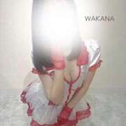 ヒメ日記 2025/09/05 06:33 投稿 わかな ルーフ福井