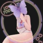 ヒメ日記 2025/08/03 00:13 投稿 美城 りつ 神戸RED DRAGON