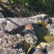 ヒメ日記 2025/06/28 15:00 投稿 ちはる 渋谷角海老