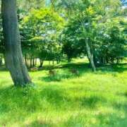 ヒメ日記 2025/06/28 19:20 投稿 ちはる 渋谷角海老