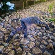 ヒメ日記 2025/07/21 17:20 投稿 ちはる 渋谷角海老