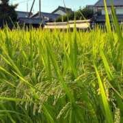 ヒメ日記 2025/08/15 07:20 投稿 ちはる 渋谷角海老