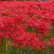 ヒメ日記 2025/09/27 17:10 投稿 ちはる 渋谷角海老