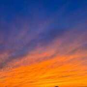 ヒメ日記 2025/10/08 19:50 投稿 ちはる 渋谷角海老