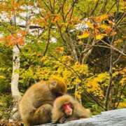 ヒメ日記 2025/10/16 00:00 投稿 ちはる 渋谷角海老