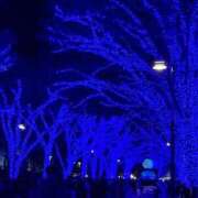 ヒメ日記 2025/12/08 00:00 投稿 ちはる 渋谷角海老