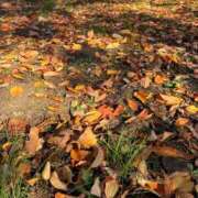 ヒメ日記 2025/12/20 10:24 投稿 ちはる 渋谷角海老