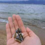 ヒメ日記 2025/12/31 20:50 投稿 ちはる 渋谷角海老