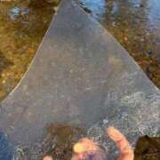 ヒメ日記 2026/01/24 13:40 投稿 ちはる 渋谷角海老