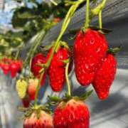 ヒメ日記 2026/02/23 13:40 投稿 ちはる 渋谷角海老