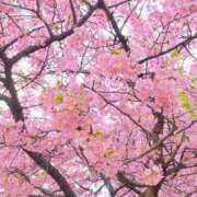 ヒメ日記 2026/03/08 20:30 投稿 ちはる 渋谷角海老