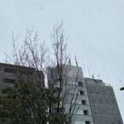 ヒメ日記 2026/03/10 10:30 投稿 ちはる 渋谷角海老