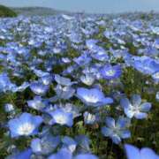 ヒメ日記 2026/03/11 14:50 投稿 ちはる 渋谷角海老