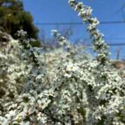 ヒメ日記 2026/03/23 19:35 投稿 ちはる 渋谷角海老