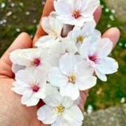 ヒメ日記 2026/03/28 19:50 投稿 ちはる 渋谷角海老