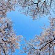 ヒメ日記 2026/03/29 17:30 投稿 ちはる 渋谷角海老