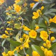 ヒメ日記 2026/03/30 18:11 投稿 ちはる 渋谷角海老