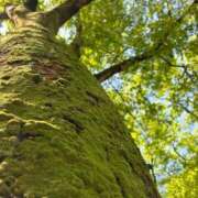 ヒメ日記 2026/04/12 08:20 投稿 ちはる 渋谷角海老