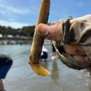 ヒメ日記 2026/04/19 17:20 投稿 ちはる 渋谷角海老