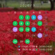 ヒメ日記 2026/09/09 06:20 投稿 ちはる Mirage(渋谷)