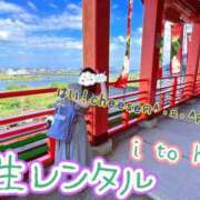 ヒメ日記 2023/12/05 03:29 投稿 イトハ 人妻生レンタル