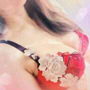 ヒメ日記 2025/05/20 14:30 投稿 日和 PLUS難波店