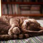 ヒメ日記 2025/07/18 23:41 投稿 日和 PLUS難波店