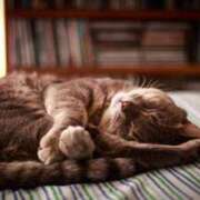 ヒメ日記 2025/07/31 00:14 投稿 日和 PLUS難波店