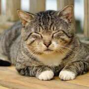 ヒメ日記 2025/08/06 00:24 投稿 日和 PLUS難波店