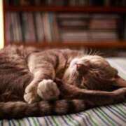 ヒメ日記 2025/08/09 00:34 投稿 日和 PLUS難波店