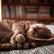 ヒメ日記 2025/08/14 00:13 投稿 日和 PLUS難波店