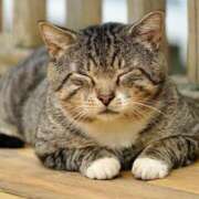 ヒメ日記 2025/08/21 00:14 投稿 日和 PLUS難波店