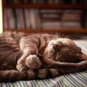 ヒメ日記 2025/08/23 23:54 投稿 日和 PLUS難波店