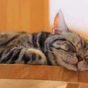 ヒメ日記 2025/08/24 23:54 投稿 日和 PLUS難波店