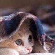 ヒメ日記 2025/09/05 00:08 投稿 日和 PLUS難波店