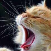 ヒメ日記 2025/09/22 23:54 投稿 日和 PLUS難波店