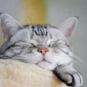 ヒメ日記 2025/10/09 00:16 投稿 日和 PLUS難波店