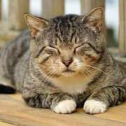 ヒメ日記 2025/10/11 00:04 投稿 日和 PLUS難波店