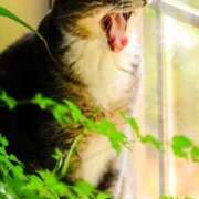 ヒメ日記 2025/10/12 00:14 投稿 日和 PLUS難波店