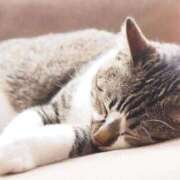 ヒメ日記 2025/11/19 01:24 投稿 日和 PLUS難波店