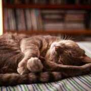 ヒメ日記 2026/01/20 00:14 投稿 日和 PLUS難波店