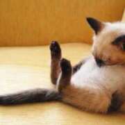 ヒメ日記 2026/04/14 00:04 投稿 日和 PLUS難波店