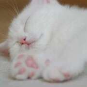 ヒメ日記 2026/04/18 00:14 投稿 日和 PLUS難波店