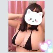 ヒメ日記 2025/02/07 12:12 投稿 あみ 長野権堂更埴ちゃんこ