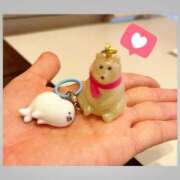 ヒメ日記 2025/10/28 14:46 投稿 あみ 長野権堂更埴ちゃんこ