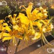 ヒメ日記 2026/02/23 14:20 投稿 なつめ 熟女の風俗最終章 町田店