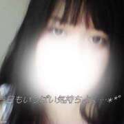 ヒメ日記 2025/06/29 11:17 投稿 えま 和歌山ちゃんこ